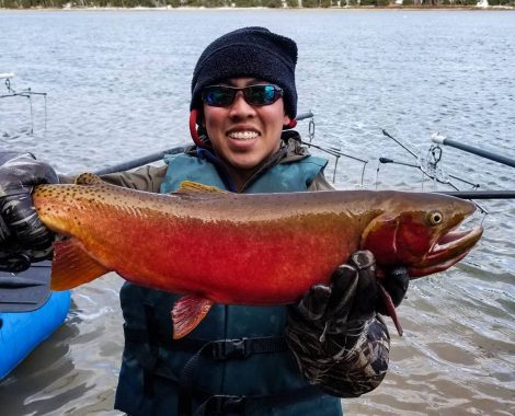 18595322_10208785897261105_1022786935351641794_o